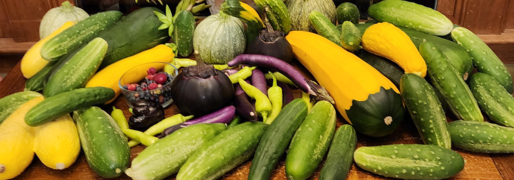 Cucumbers, zucchini, eggplants, and more!